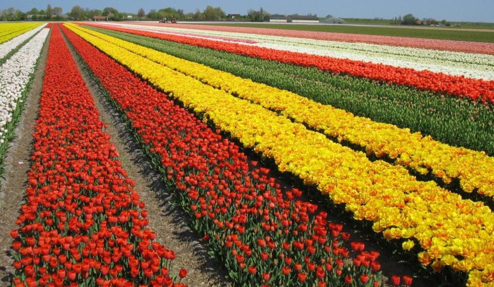 Sint Maartensvlotbrug Zoet En Ziltヴィラ エクステリア 写真